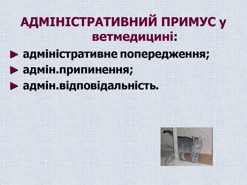 АДМІНІСТРАТИВНИЙ ПРИМУС у ветмедицині: ► адміністративне попередження; ► адмін.припинення; ► адмін.відповідальність.